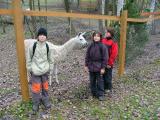 2006_1117_101138 (2) Děti a lama
